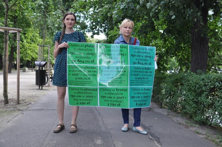 Drastyczna obniżka stawek za wycinkę drzew. Rząd znów idzie na rękę deweloperom?