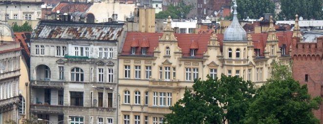 Borsuk pod Wrocławiem... przełamuje lody