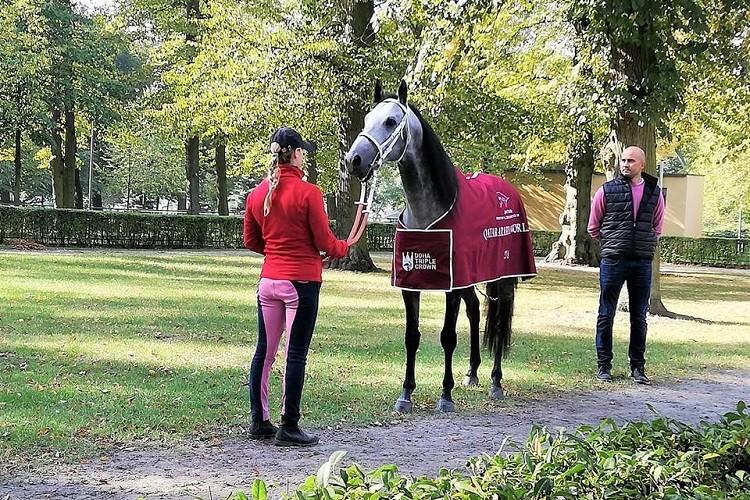 Koń z Partynic drugi podczas prestiżowej gonitwy Dubai World Cup