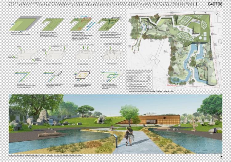Goryle wrócą do wrocławskiego zoo po ponad 30 latach [KONCEPCJE NOWEGO OBIEKTU]