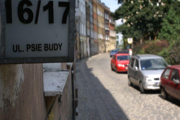 Całkiem nowe Psie Budy