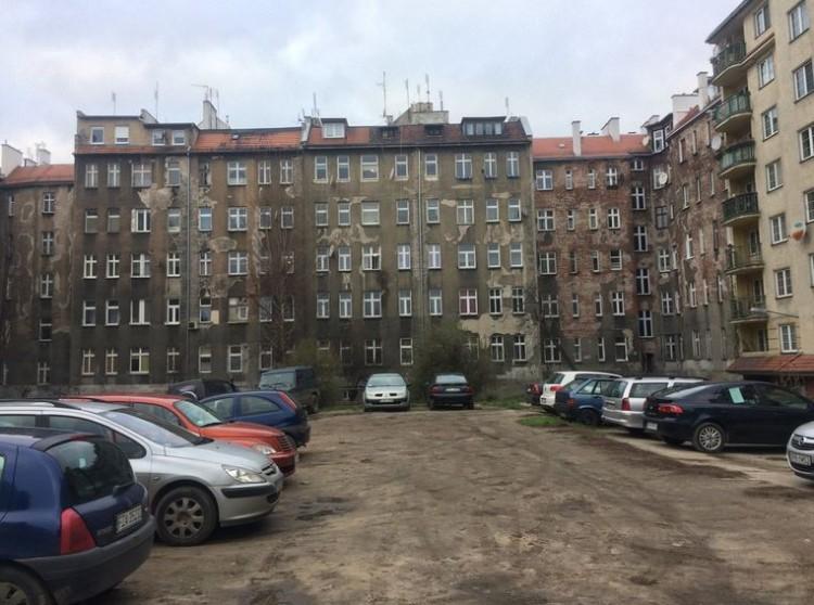 Zamiast parkingów kolejne deszczowe łąki we Wrocławiu