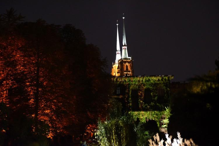 Ogród Botaniczny będzie miał stałą iluminację? Jest koncepcja [ZDJĘCIA]