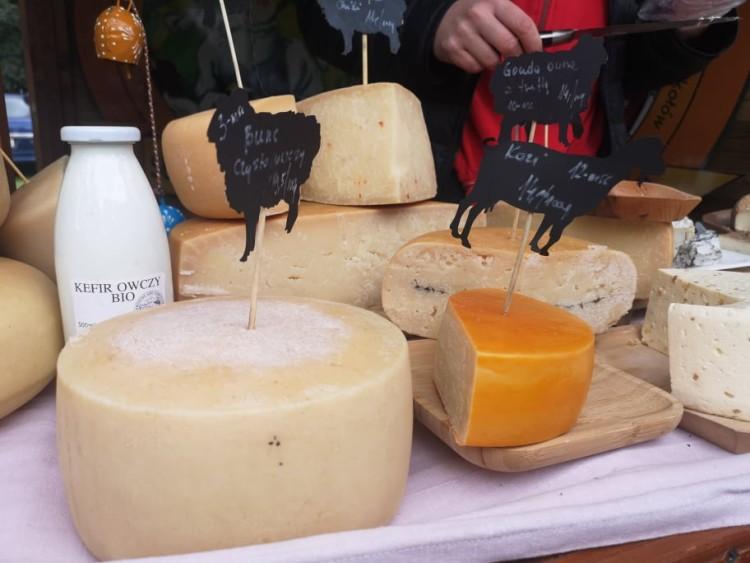 Targi serów farmerskich we Wrocławiu. III Wielkie SERwowanie [ZDJĘCIA]