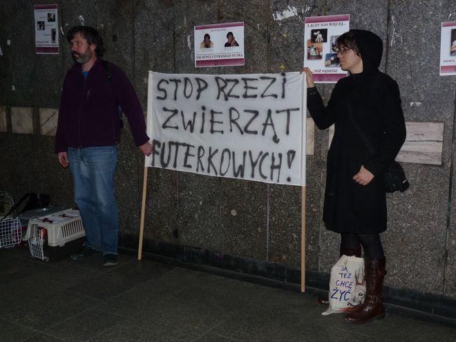 Dzień bez Futra - dniem z futrzakiem 