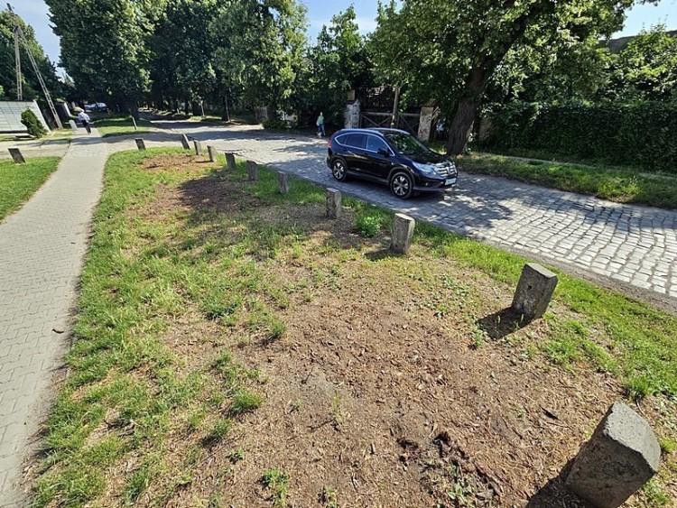 Wrocław: Wycięte drzewa z zabytkowej alei. Mieszkańcy oburzeni
