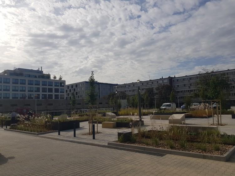 Podwórko w centrum zrewitalizowane. Skwer zyskał zieleń, miejsce pamięci i parking [ZDJĘCIA]