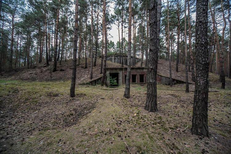 Zaprezentowano nową identyfikację wizualną Nowych Horyzontów