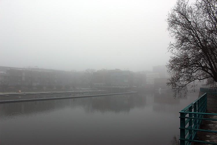 Dolnośląski Alarm Smogowy dogadał się z prezydentem, że będzie milczał o smogu we Wrocławiu