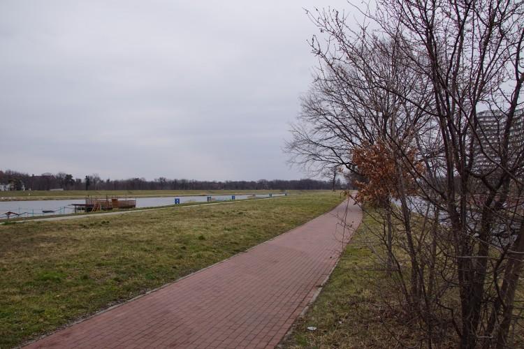 Ludzie chcą drzew nad Odrą. Ale to zakazane