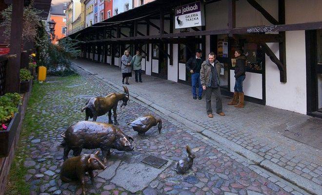 Przyjdź na Jatki sadzić kwiatki!...