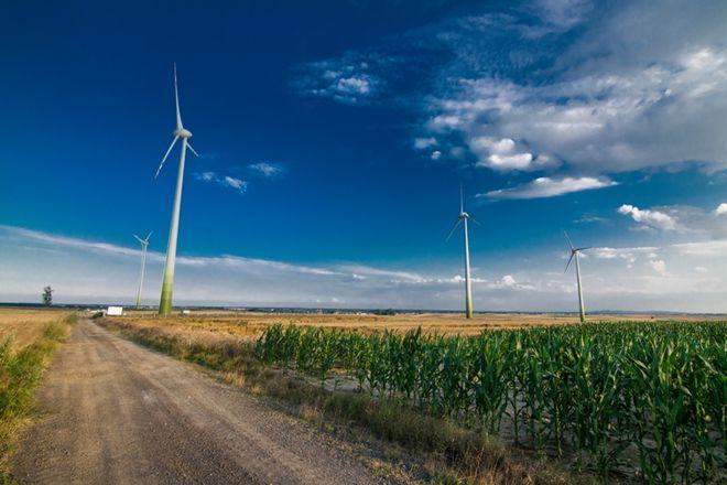 35 mln złotych na zieloną energię z wiatraków pod Wrocławiem