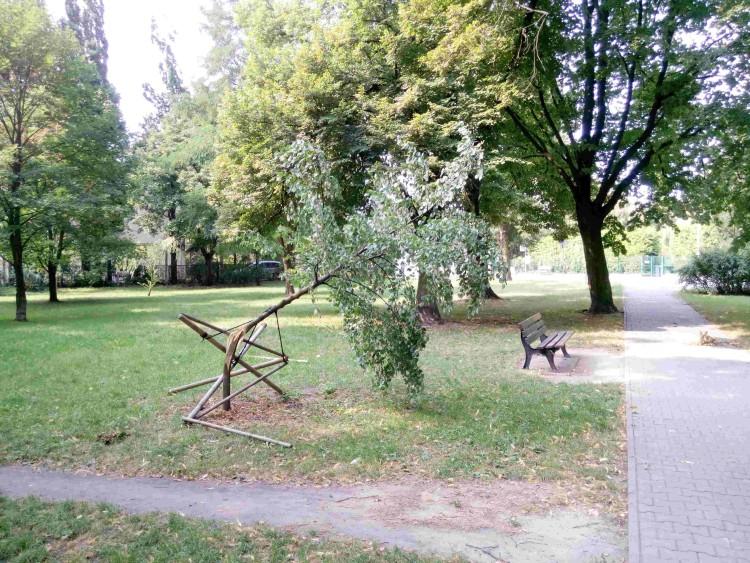 Zielony skwer na Oporowie zdewastowany. Sprawców szuka policja, bałagan posprzątał mieszkaniec [ZDJĘCIA]