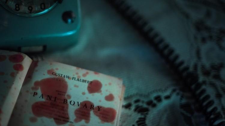 Pani Bovary okiem studentów Wydziału Radia i Telewizji Uniwersytetu Śląskiego