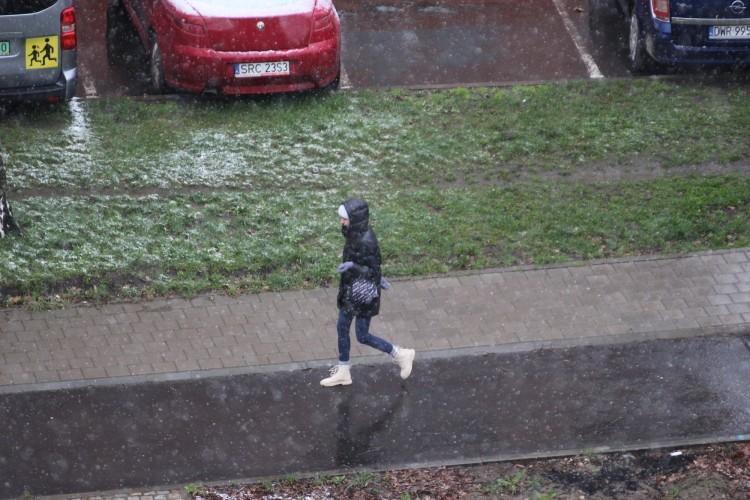 Prognoza pogody dla Wrocławia. Kiedy wróci wiosna?