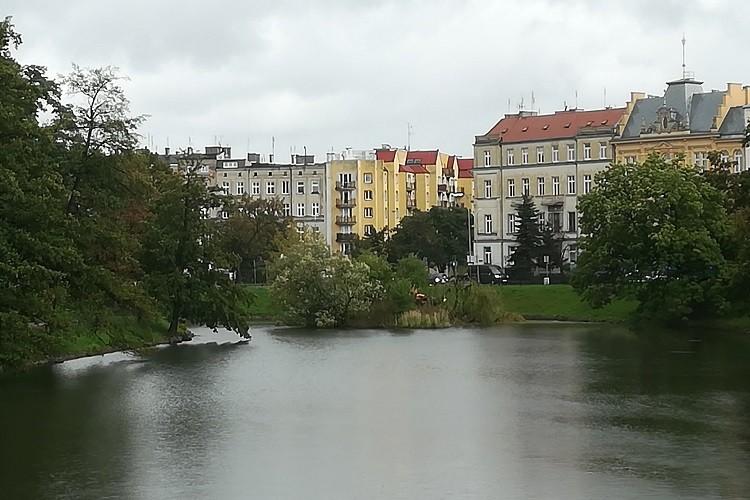 Wiekowa wierzba przy Podwalu powalona przez czwartkowy orkan [ZDJĘCIA]