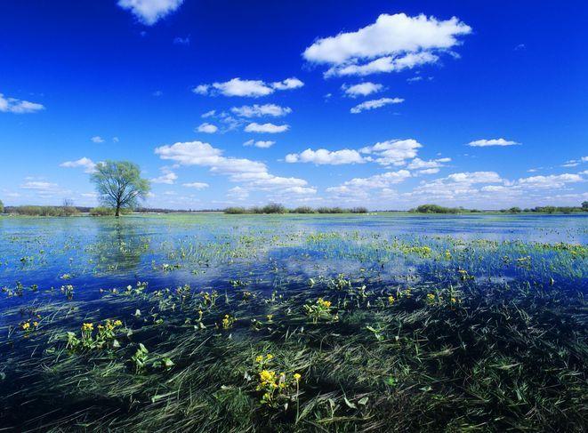 Rzeki Polski – Rivers of Poland. Wystawa fotografii w Leśnicy