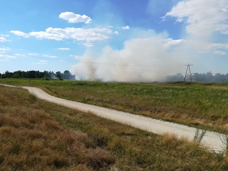 Kłęby dymu nad Psim Polem. Płonęły łąki przy wałach nad Widawą [ZDJĘCIA]
