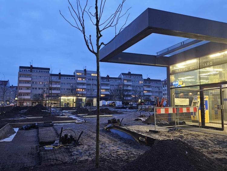 Tak zmienia się plac Nowy Targ. Są pierwsze drzewa