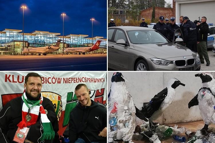 Nowe samochody policjantów i pingwiny z plastiku [PODSUMOWANIE DNIA]