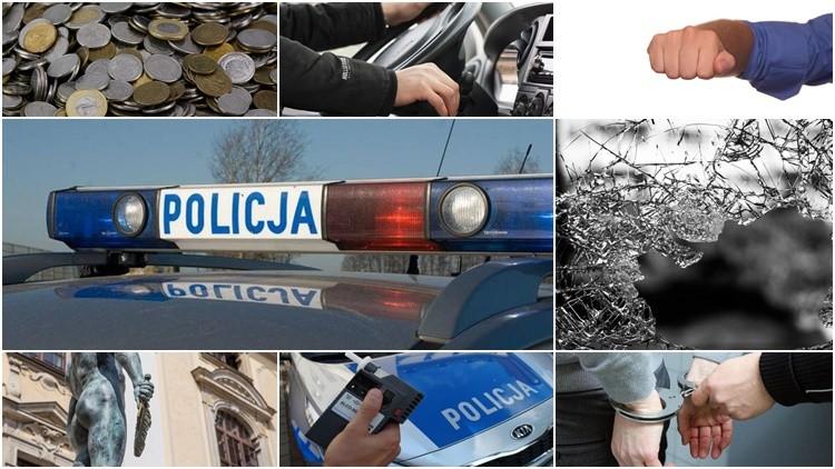 Nietypowe interwencje i zatrzymania. Sprawdź, czy odgadniesz co zrobili i jak się tłumaczyli [QUIZ]