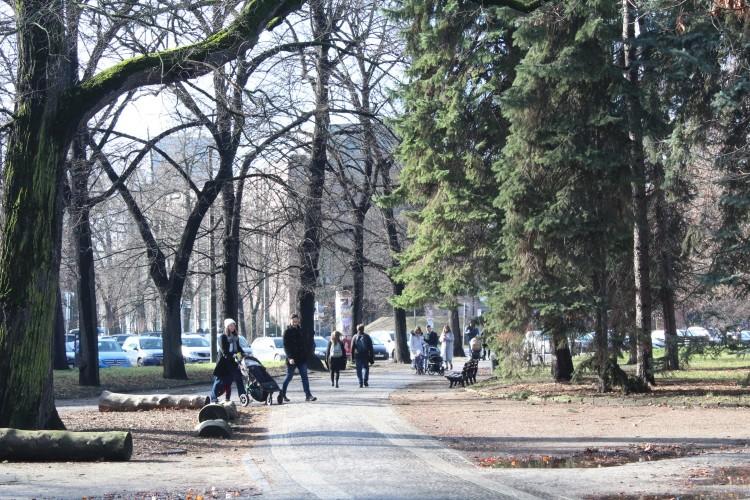 Pierwszy powiew wiosny we Wrocławiu. Tłumy w parkach i na ulicach