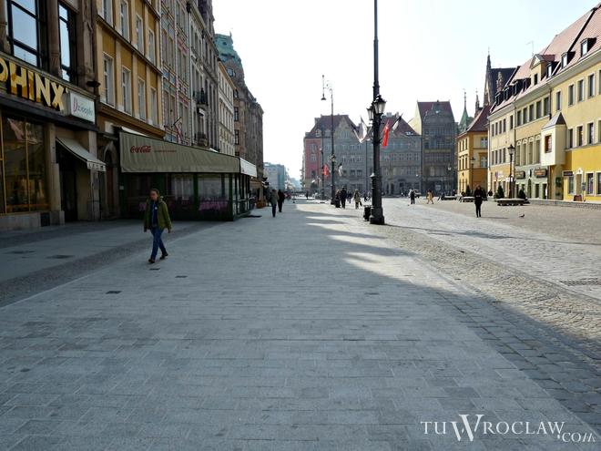 Padł koń zaprzężony do dorożki. Powiatowy Lekarz Weterynarii: zgłaszajmy złe traktowanie zwierząt