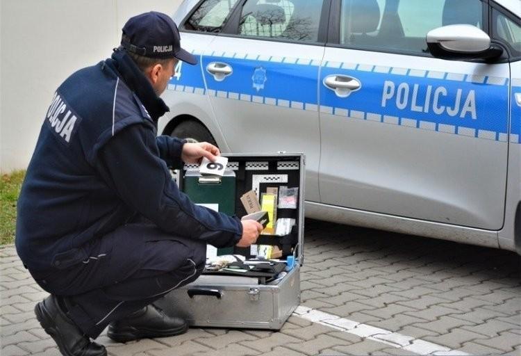 Wrocław: Makabryczna śmierć w Parku Zachodnim. Więcej informacji po sekcji