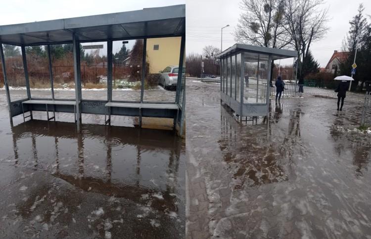 Wenecja w środku Wrocławia? Nie, to tylko przystanek na Maślicach