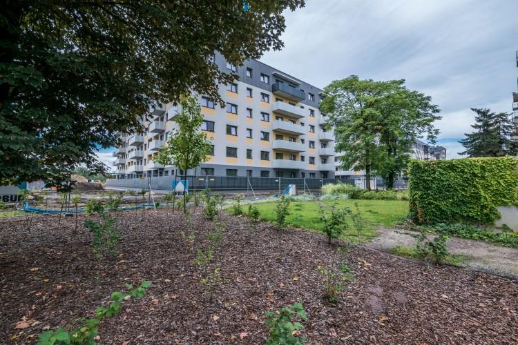 Promenady Wrocławskie. Osiedle nad Odrą wciąż się rozbudowuje [ZDJĘCIA, WIZUALIZACJE]