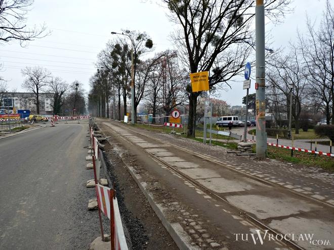 Miasto zapłaci ponad 100 tys. złotych za nasadzenia drzew wzdłuż Krzyckiej i Przyjaźni