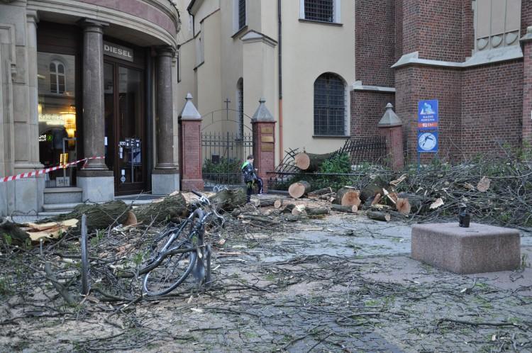 Na ulicę Świdnicką spadło duże drzewo. Zniszczenia usuwa parafia [ZDJĘCIA]