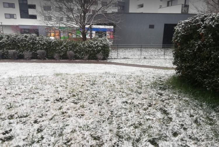 Atak zimy we Wrocławiu. Na drogach jest bardzo ślisko i niebezpiecznie