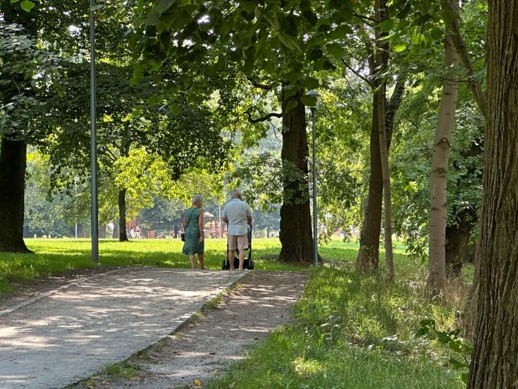 Plac zabaw, siłownia, amfiteatr i wybieg dla psów - to wszystko w jednym miejscu we Wrocławiu: Park Kleciński