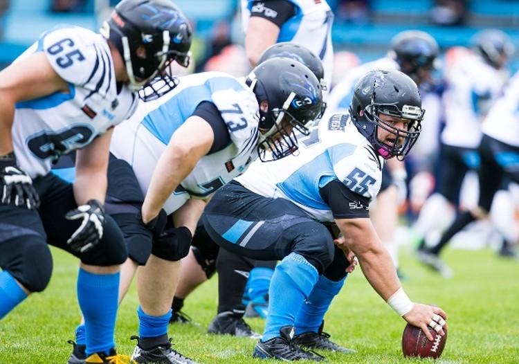 Panthers Wrocław w drodze po futbolowy Olimp