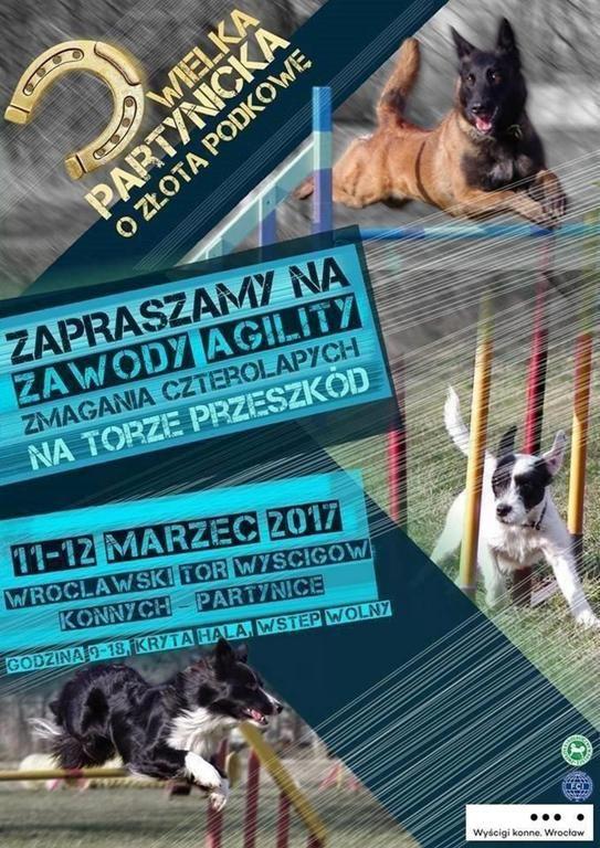 Psy powalczą na Partynicach o Złotą Podkowę [GALERIA]