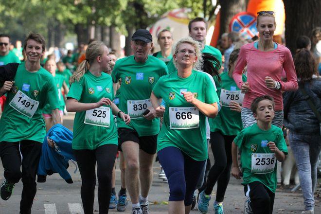 Maraton Wrocław: wystartuj w biegach towarzyszących