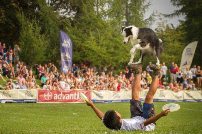 Weekend z Latającymi psami we Wrocławiu