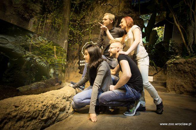 Nowa kusząca propozycja wrocławskiego zoo. W pakiecie można zwiedzić Afrykarium i zjeść kolację
