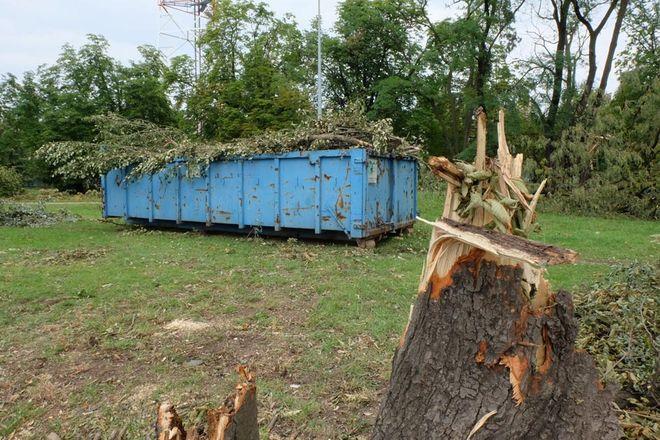 Znów odbierają od mieszkańców Wrocławia odpady zielone. A od 2017 roku planują zmiany