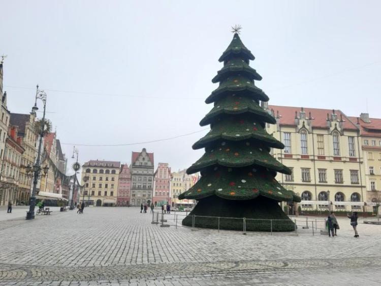 Przetarg na iluminację świąteczną Wrocławia. Będzie inna niż w ostatnich latach