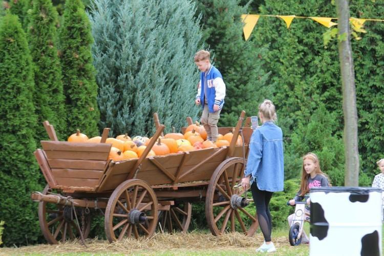 Dyniowe Farmy i sklepy na Dolnym Śląsku. Te adresy musi znać każda jesieniara