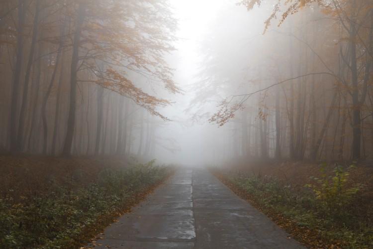 Uwaga kierowcy! Gęsta mgła we Wrocławiu i okolicach