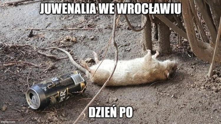 Internet drwi z Wrocławia. Zobacz najnowsze memy. Oto, jak nas widzą...