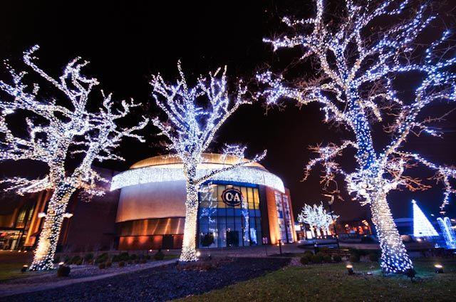 Iluminacja świąteczna rozbłysła we Wrocławiu