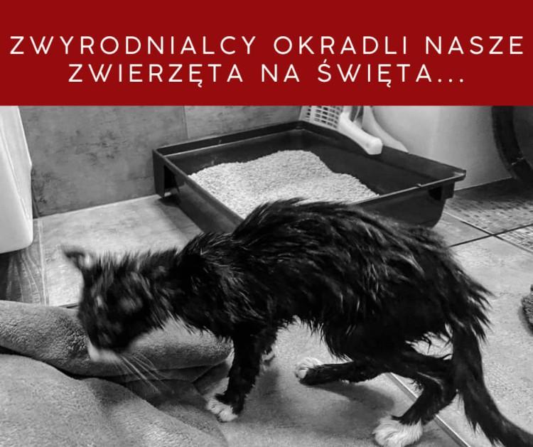 Kradzież w Dolnośląskiej Straży ds. Zwierząt. Zniknęły rzeczy od darczyńców
