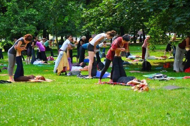 Kuszą wrocławian bezpłatnymi zajęciami jogi w jednym z parków