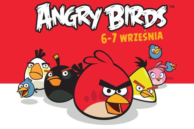 Angry Birds pojawią się w jednej z wrocławskich galerii handlowych