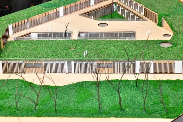 Centrum leczenia rzadkich chorób i ginekolog dla niepełnosprawnych kobiet. Nowy projekt we Wrocławiu