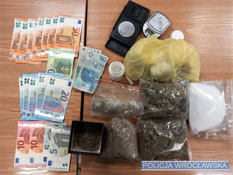 Akcja wrocławskiej policji: koniec uprawy marihuany przy ul. Grabiszyńskiej.